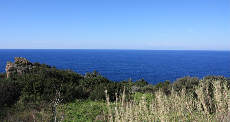 Ischia
